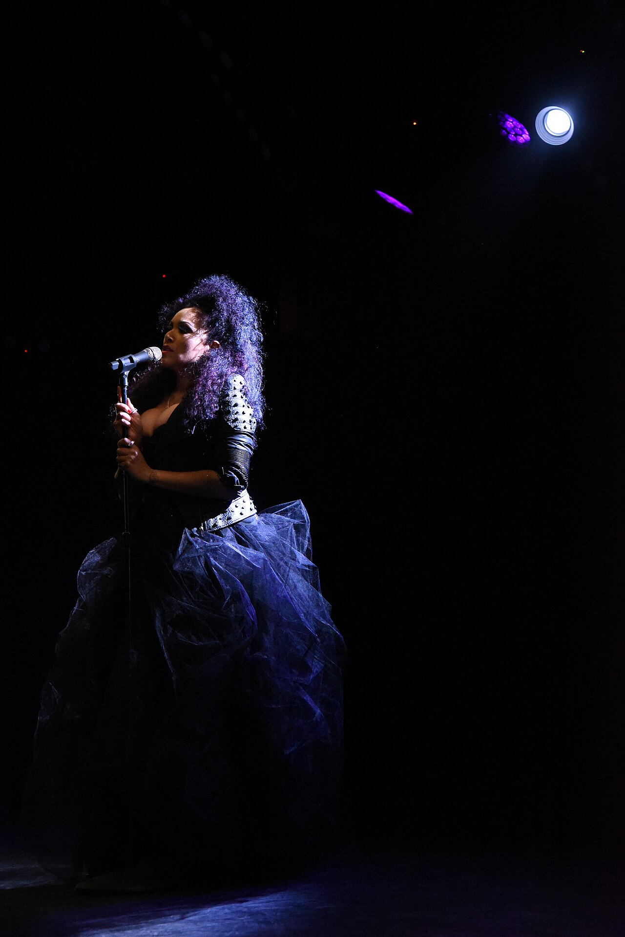 Close-up of a vocalist singing into a classic dynamic stage microphone with a blurred stage background.